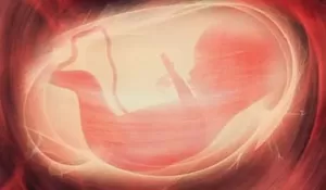 Wanita di Waykanan Aborsi Paksa, Diduga Perintah Atasan
