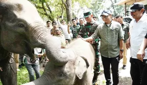 Gubernur Lampung Apresiasi Program Prabowo Rp839 Miliar untuk Konservasi Way Kambas