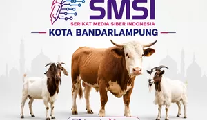 Iduladha 1447 H, SMSI Bandar Lampung Salurkan 1 Sapi dan 2 Kambing untuk Anggota dan Warga