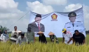 Panen Raya di Natar Jadi Momentum