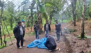 Judi Sabung Ayam Berkedok Hajatan di Kindang Bulukumba Dibubarkan Polisi