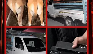 Polisi Ringkus 5 Terduga Pelaku Curnak di Bulukumba, Tiga Ditangkap di Kecamatan Cina Bone