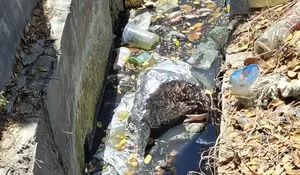 Bau Limbah Warung Coto Kunyit Ponci Ganggu Warga, Sumur Ikut Terdampak