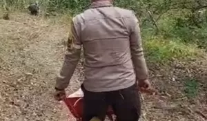 Medan Ekstrem Tak Jadi Halangan, Bhabinkamtibmas dan Warga Perbaiki Irigasi Petani