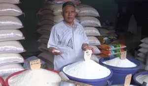 Mulai Hujan Deras, Produksi Beras Diprediksi Menurun