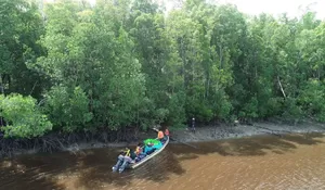 Kawasan Konservasi Perairan Kolepom Ditargetkan Sebagai Habitat Kakap Putih