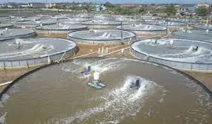 DPR RI Minta Pemerintah Revisi Aturan Subsidi Pupuk, Ini Alasannya