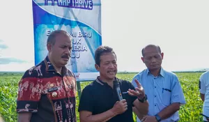 Genjot Ekspor, KKP akan Bangun Tambak Udang Modern di Sumba Timur