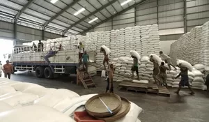 Komisi IV Minta Bulog Tingkatkan Stok Beras Nasional