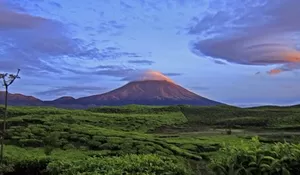 Gunung Kerinci Erupsi Setinggi 1.200 Meter