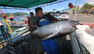 Pengusaha Perikanan Indonesia Jajaki Peluang Pasar Ikan Beku dengan Arab Saudi