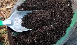 Daur Ulang Sampah Dapur Sendiri dengan Metode Takakura