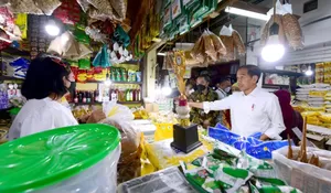 Jokowi Sebut Harga Beras Mulai Turun, Panen akan Berlangsung