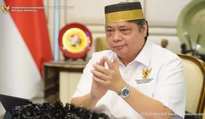 Menko Airlangga; Pemerintah Danai Ketahanan Pangan Rp104,2 Triliun