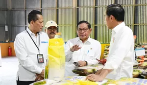 Presiden Jokowi Akui Serapan Gabah Bulog Masih Rendah
