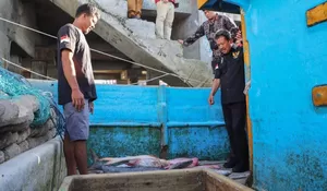 KKP Bangun 10 Kampung Nelayan Maju Terintegrasi, Lengkap Fasilitas