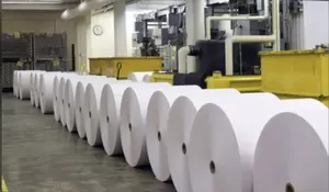 Ekspor Kertas Indonesia ke Jepang Berpotensi Meningkat, Ini Alasannya