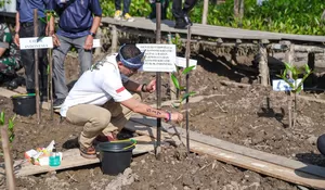 Menparekraf Tanam Bibit Mangrove di Banyuasin