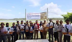 KKP Dilepasliarkan 223 Ekor Arwana Jardini di Papua Selatan