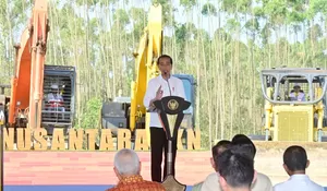 Jokowi Sebut Investor Berbondong-bondong Datang ke IKN
