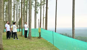 Inilah Sejumah Agenda Penting Presiden Jokowi Hari Kedua di IKN
