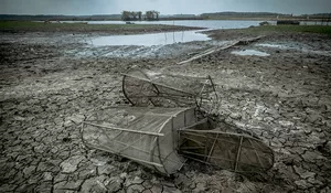 Rawa dan Sungai di Sumsel Mulai Mengering