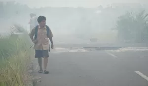 4 Tips Tetap Sehat di Tengah Asap Kebakaran Hutan dan Lahan