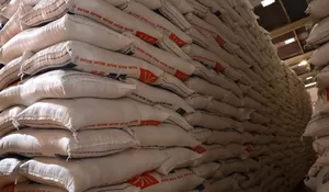 BI Turunkan Target Inflasi Tahun Ini Jadi 2,5%, Alasannya Masuk Akal Enggak Sih?