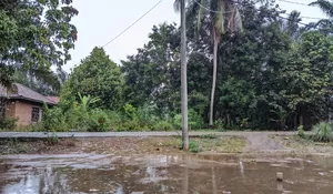 Akhirnya, Jambi di Guyur Hujan Setelah Fenomena Kabut Asap