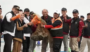 KKP-ADB Tingkatkan Produksi Udang Nasional Melalui IISAP