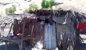 Seorang Ibu dan 4 Anaknya Hidup di Gubuk Reyot di NTT, Netizen: Dana Desa Kemana?