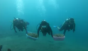 KKP Siapkan Perangkat Ocean Big Data dan Ocean Accounting