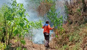 Kebakaran Hutan Terjadi Lagi, Kali Ini di Kawasan Gunung Abang Bali