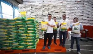 Bapanas: Cadangan Beras Pemerintah di Gudang Bulog Jayapura 5,3 Ton