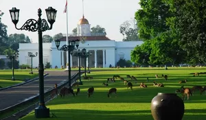 Kebun Raya Bogor: Taman Botani yang Megah 