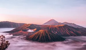 Malang: Kota Bunga yang Memikat dengan Keindahan