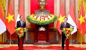 Jokowi: Indonesia dan Vietnam Sepakati Sejumlah Kerja Sama