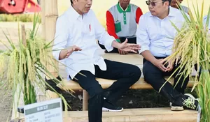 Tolong Dipahami! Ini Jenis-jenis Bantuan Pangan Beras yang Disalurkan Pemerintah