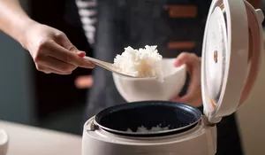 DPR Minta BPK Audit Program Rice Cooker Gratis Kementerian ESDM