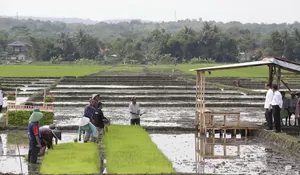 Sepiring Nusantara, Sesendok Kedaulatan Pangan