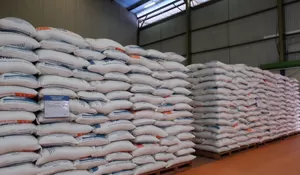 Junaidy Auly: Inflasi Pangan Harusnya Bisa Diantisipasi Pemerintah