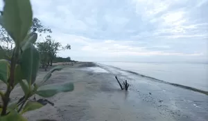 Pantai Senipah, Destinasi Wisata yang Wajib Kamu Kunjungi di Dekat IKN