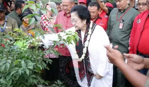 Presiden Megawati. Putri Proklamator yang Gemar Berkebun