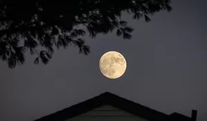 Fakta Menarik Mengenai Bulan? Ini Dia