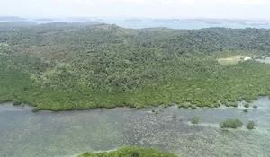 Pemerintah Targetkan Realisasi KEK Tanjung Sauh Rp199,6 T