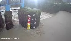 Sempat Siaga I Banjir Kiriman, Debit Air Sungai Cileungsi-Cikeas Pagi Ini Normal