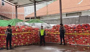 123 Ton Bawang Bombay Ilegal Disergap di Pelabuhan Tanjung Emas, Diduga Bawa Penyakit Berbahaya