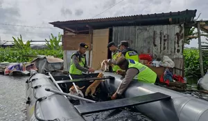 Terharu, Polisi Evakuasi Kucing Milik Nenek Pengungsi Banjir Kudus