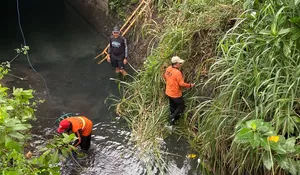 Respati Ikut Bersih-Bersih Sungai Saat Lari Pagi, Gagas Program Wali Jogo Kali