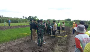 Kronologi Penemuan Mortir 81 Tamera di Purwodadi, TNI-Polri Lakukan Evakuasi Aman